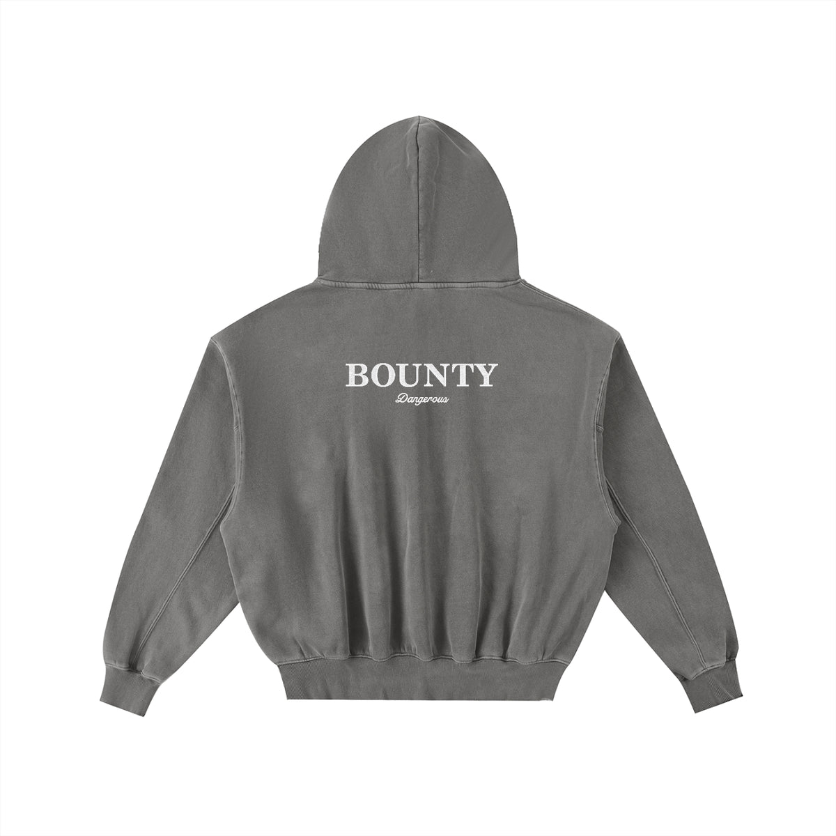 BORN BAD Dangerous Embroidered Hoodie